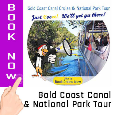 Gold Coast Canal Cruise Cooee Tours
