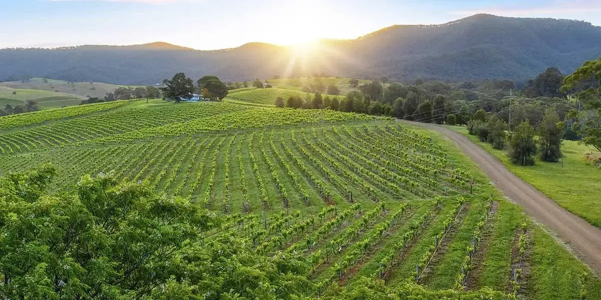 Hunter Valley Tour
