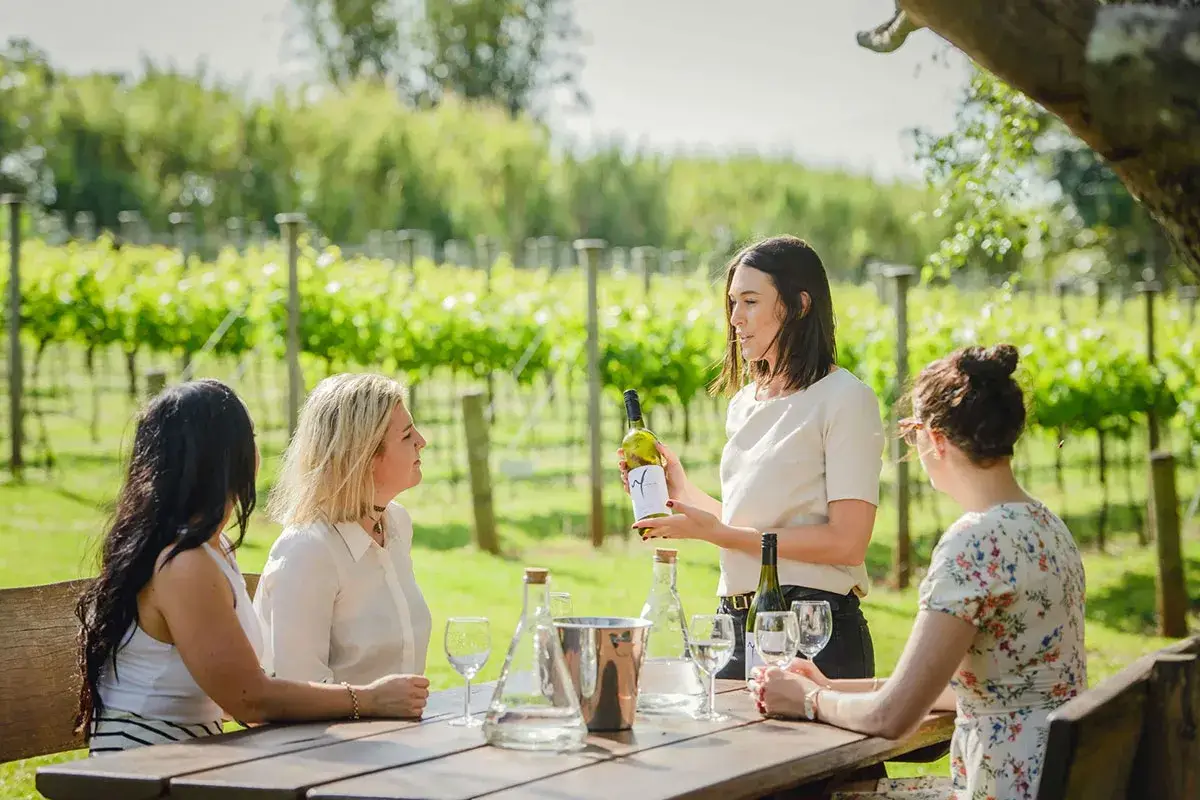 Mount Tamborine Wine Tours